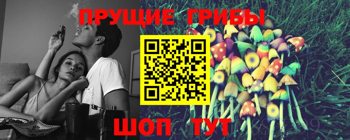 Псилоцибиновые грибы Psilocybine cubensis Луховицы